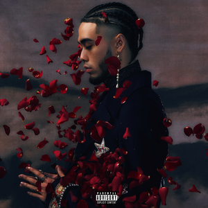 欧美在线视频网站
