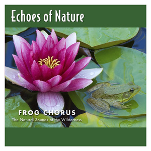 欧美在线视频网站
